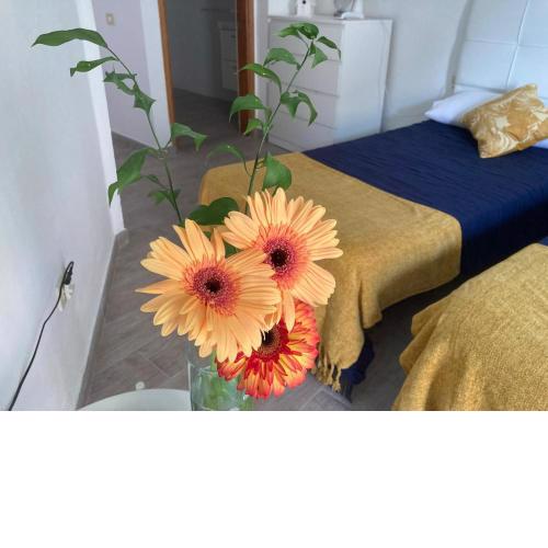 Apartamentos Eva y Lola