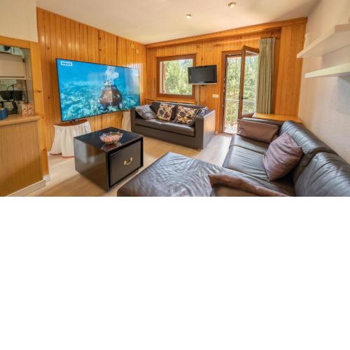 Apartamentos Formigal - admite mascotas -