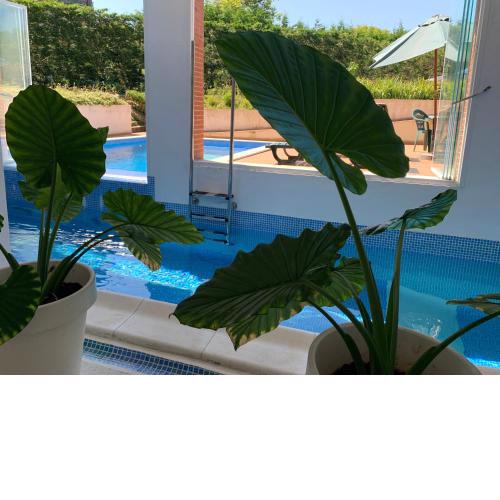 Apartamentos Harrigorri