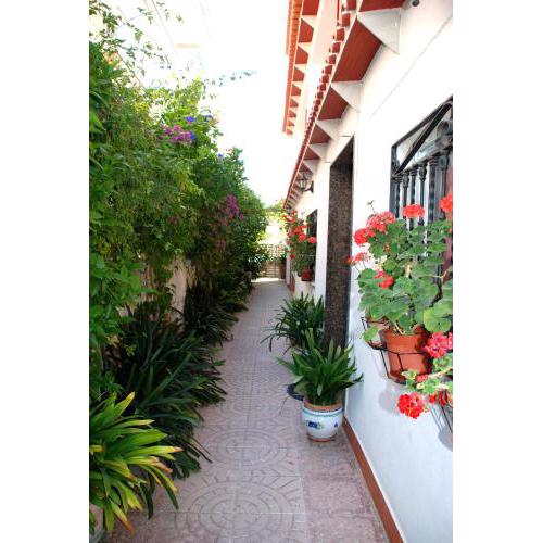 Apartamentos Inter Gandia Playa