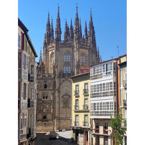 APARTAMENTOS LA FLORA BURGOS todos con aire acondicionado y ascensor
