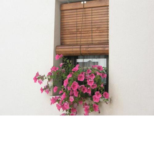 Apartamentos La Ribera Córdoba