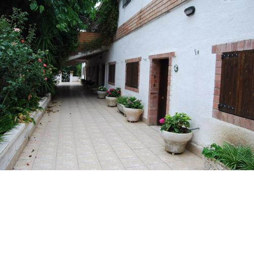 Apartamentos Les Moreres