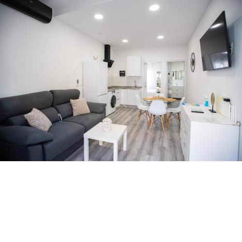 Apartamentos Linersol