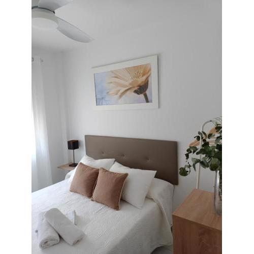 APARTAMENTOS MATUTE
