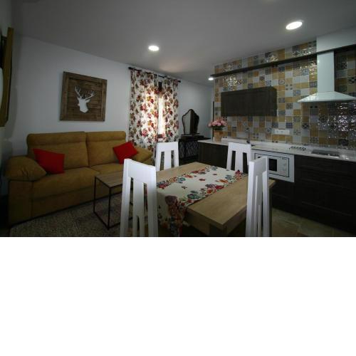Apartamentos mirasierra plaza