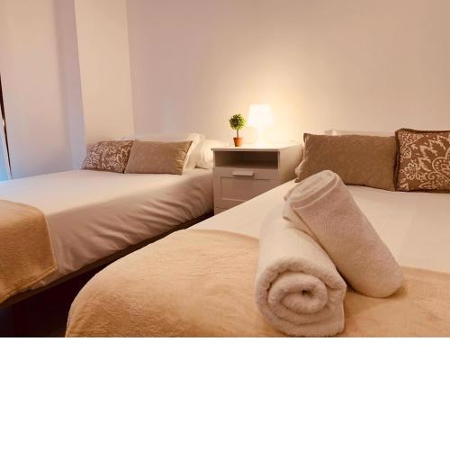 Apartamentos Pintor Losada