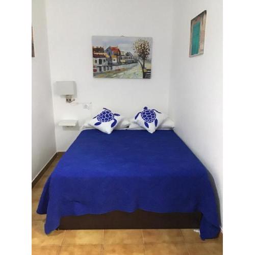 Apartamentos Playamar II