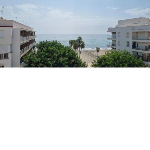 Apartamentos Real 81