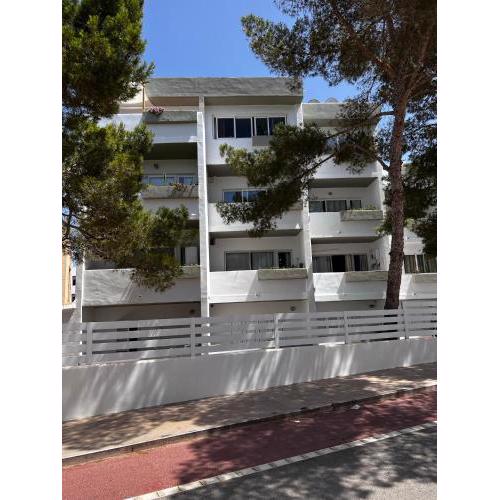 Apartamentos REX II