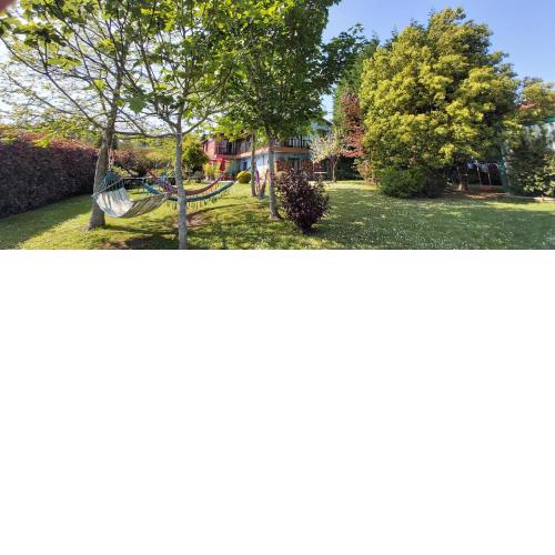 Apartamentos Rosa Jove