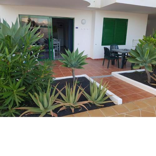 Apartamentos Tahiche
