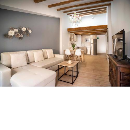 Apartamentos Terraza Ega
