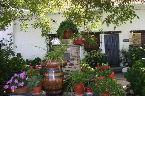 Apartamentos y Casas Rurales Las Terrazas de la Alpujarra