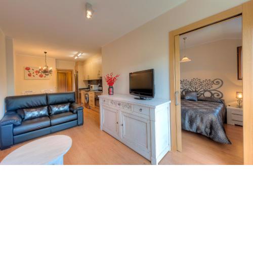 Apartaments Flor De Neu