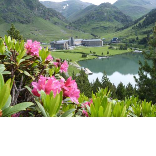 Apartaments Vall de Núria