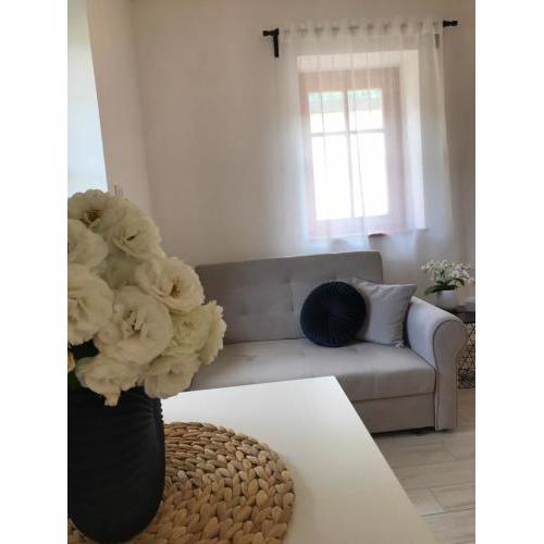 Apartma 64