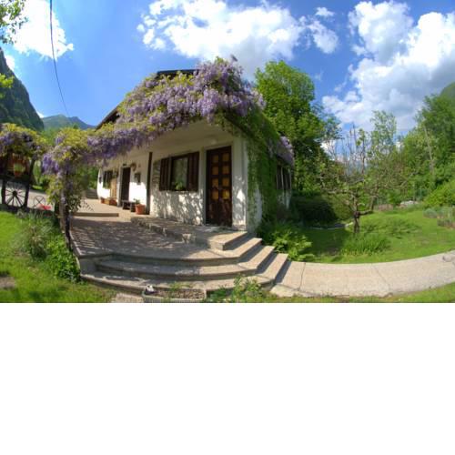 Apartma Bel