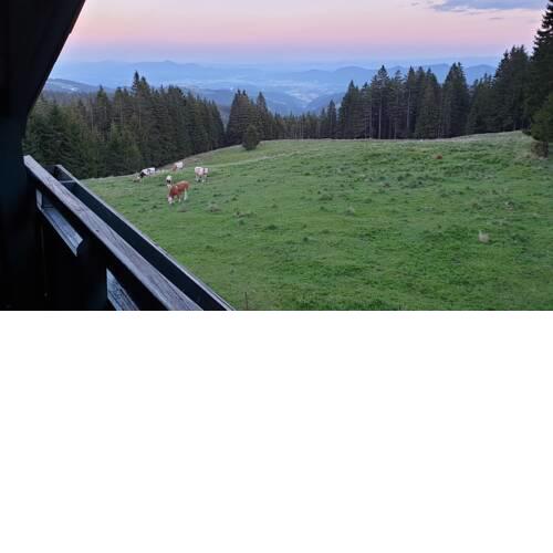 Apartma Bellevue Rogla