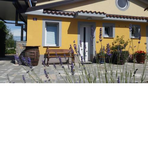 Apartma Brnistra