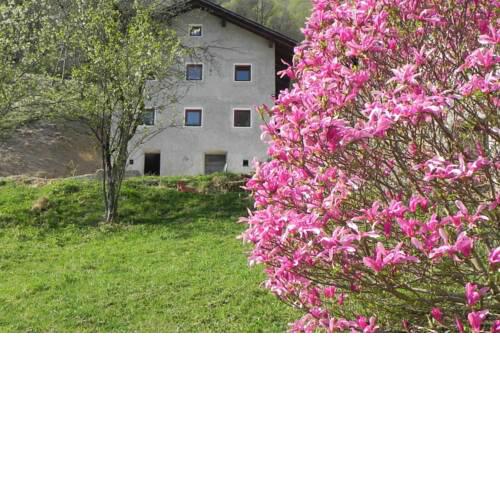 Apartma Čar
