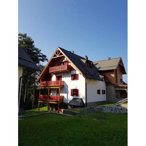 Apartma Črnica