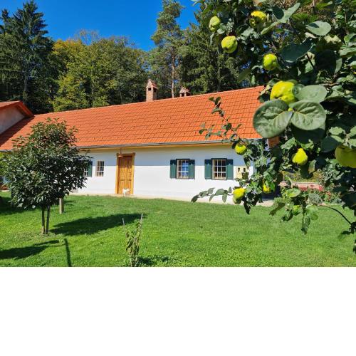 Apartma Hiša ob gozdu