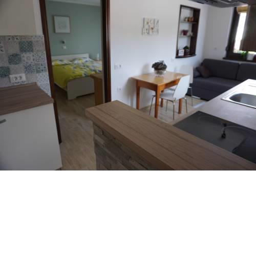 Apartma Irena Volče
