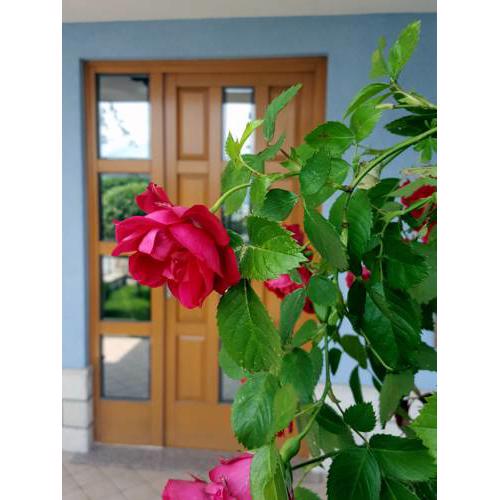 Apartma La Rosa