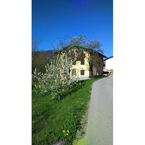 Apartma Logar