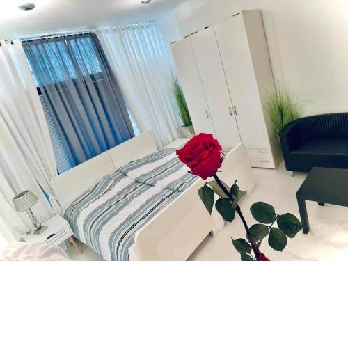 Apartma Obala