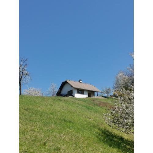 apartma Puša