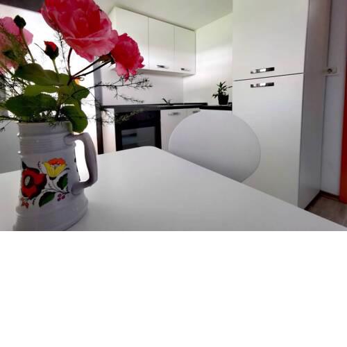 Apartma Sašo