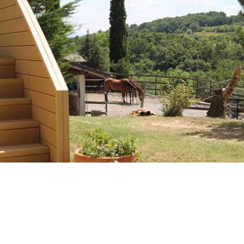 Apartma Solea
