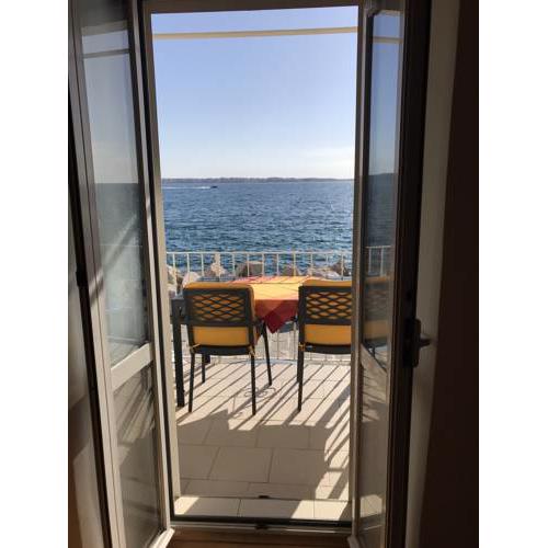 Apartma Zoya