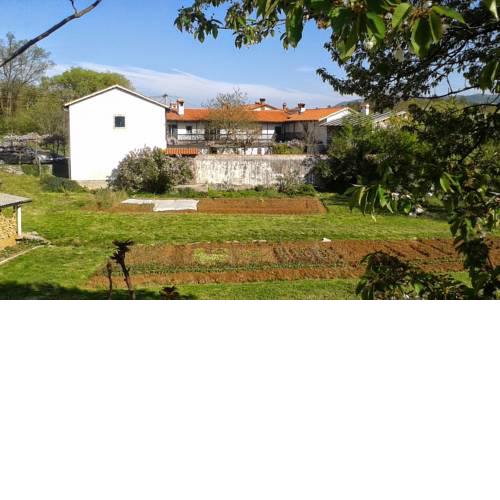 Apartmaji Hedera