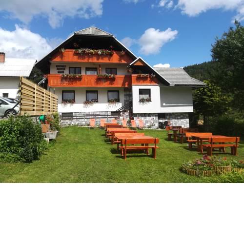 Apartmaji Hodak