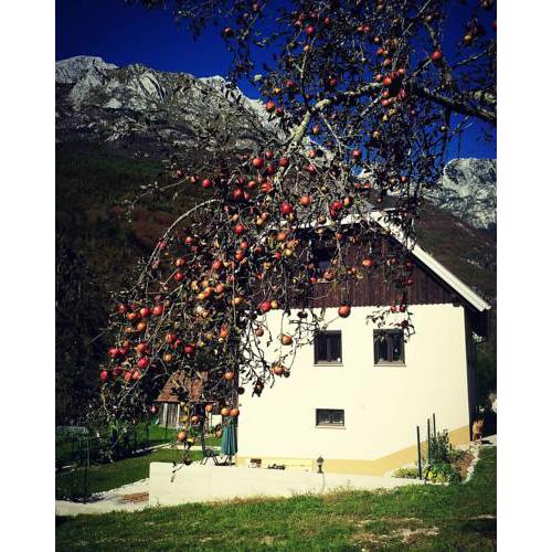 Apartmaji Katrč