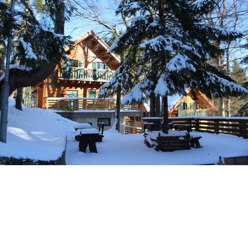 Apartmaji Martin Pohorje