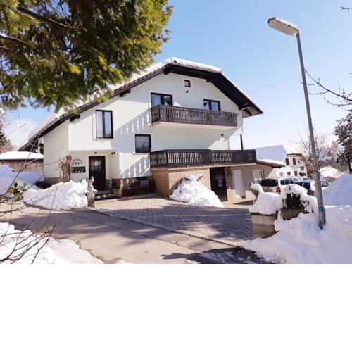 Apartmaji Orel