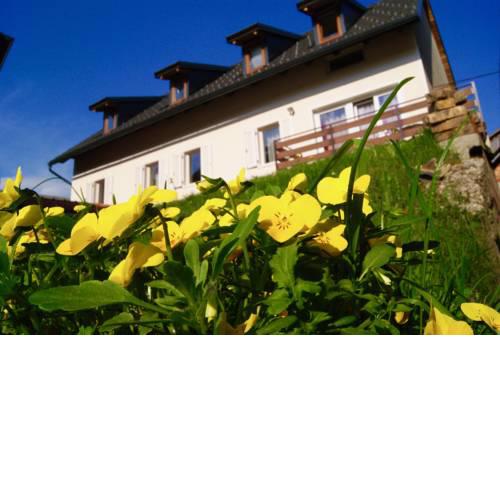 Apartmaji Pri Kokolu