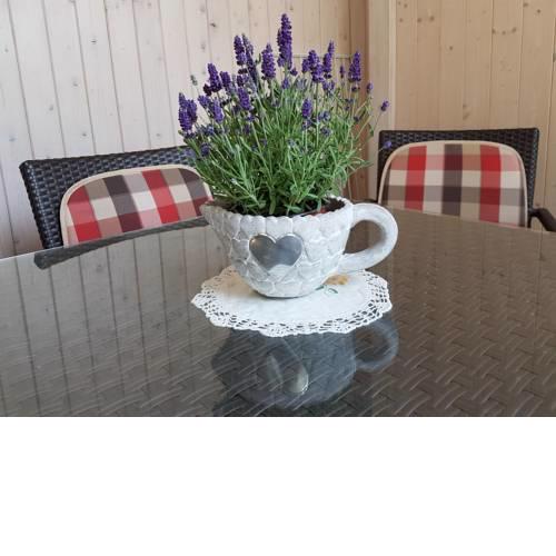 Apartmaji Sušnik