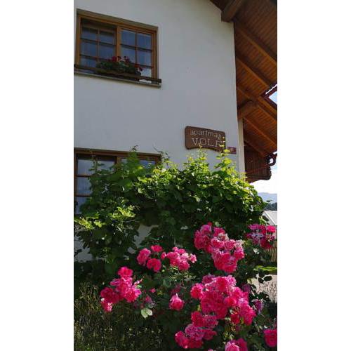 Apartmaji Volf
