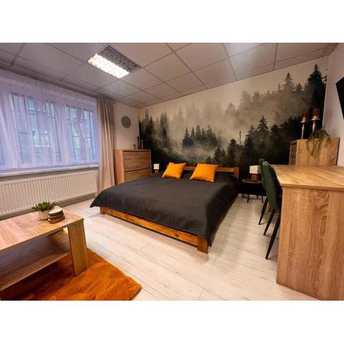 Apartman - centrum zadarmo parkovanie