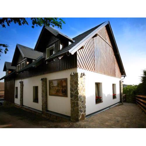 Apartmán 1 Pension Štikov