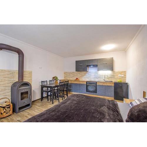 apartmán 1kk Zlámanka