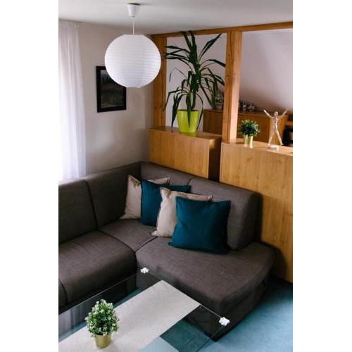 Apartman 31