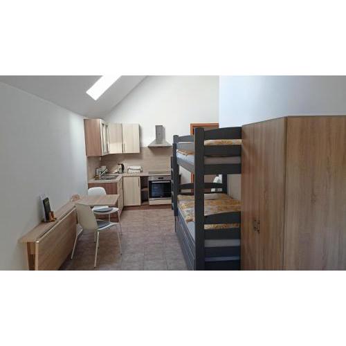 Apartmán a vinný sklep - Víno Gallus