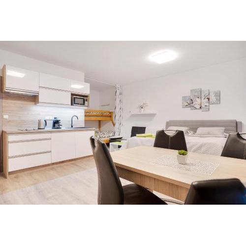 Apartmán Alfa Klínovec