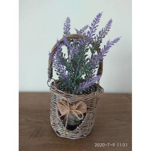 APARTMAN ALVI